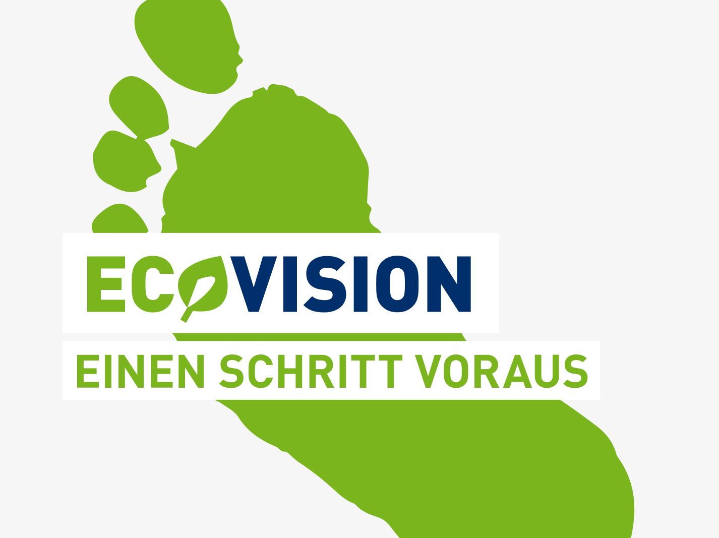 VIGIER ECOVISION DE