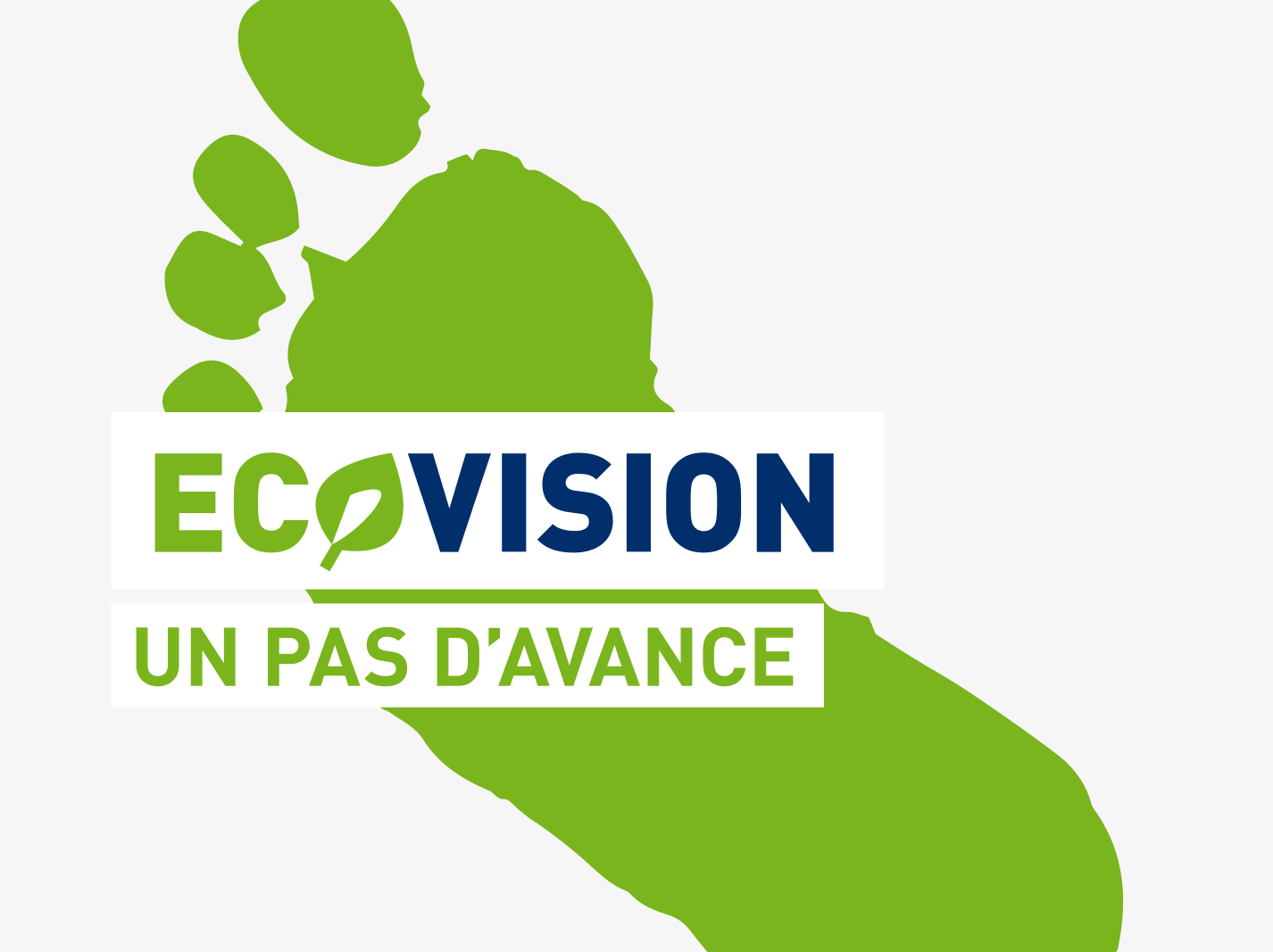 VIGIER ECOVISION FR
